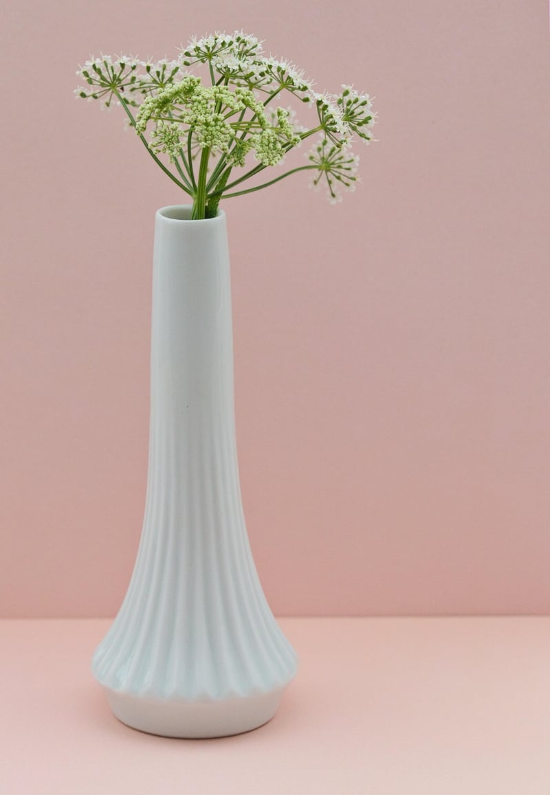 Whimsical Plant Arrangements