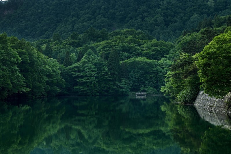 Enchanted Garden
