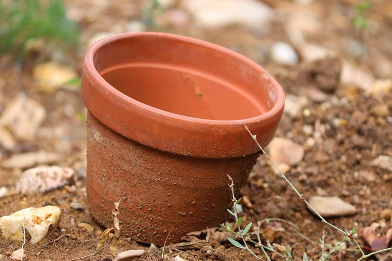 Painted Plant Pots
